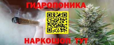 кокс Моздок