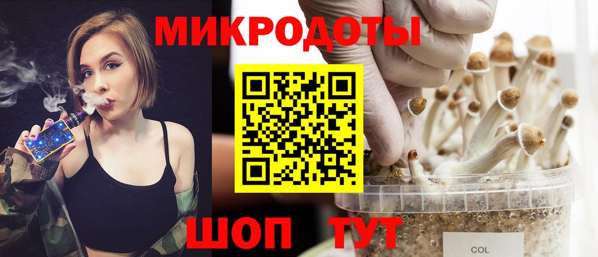 Удомля  Псилоцибиновые грибы ЛСД  Вход с VPN  Псилоцибиновые грибы прущие грибы 